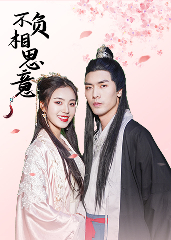 不负相思意第11集