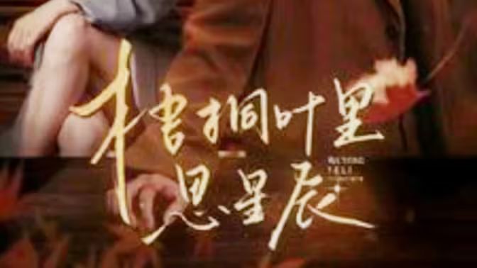 梧桐叶里思星辰第81-100集完结(大结局)